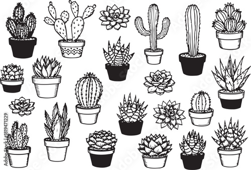 Cactus and Cactus Flower Vector Icon Set with Dessert and Drink Theme