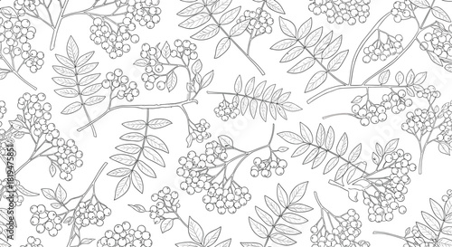 Elegant black and white seamless pattern of hand-drawn rowanberry branches with detailed leaves and clusters of berries.