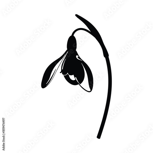Glass snowdrop flower with a metal stem illustrated as a minimal black and white silhouette vector for decorative design