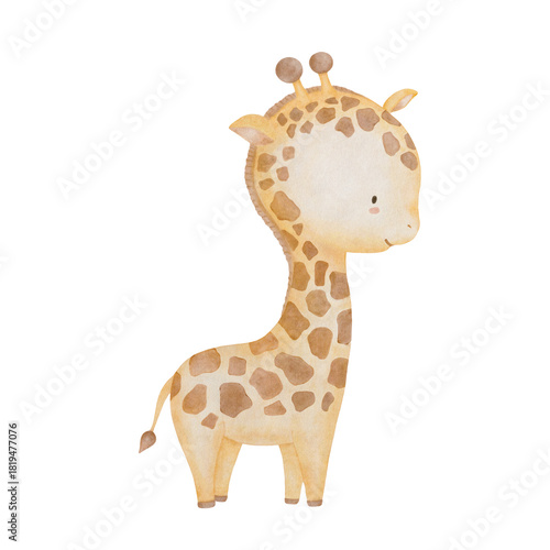 Watercolor cute little giraffe. Safari animal Illustration for kids