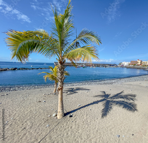 Attractive palm trees on beach at Playa San Juan, Teneriffe, Spain