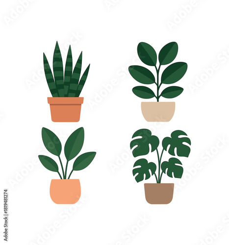 4 indoor potted plants minimal botanical shapes flat vector illustration modern clean style