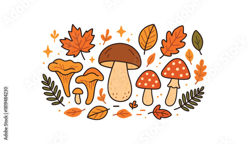 Cozy autumn flat vector illustration collection of cute seasonal icons mushroom mix: chanterelles porcini fly agaric icons fern fronds leaves sparkles arranged horizontal composition