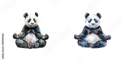 panda meditating watercolor vector illustration