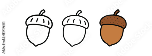 Flat vector illustration acorns and chestnuts with simple caps rounded forms clean outline one black and white flat version one outline version one color version textile style like sample