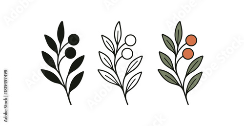 Flat vector illustration branches with berries and leaves soft curved lines clean outline one black and white flat version one outline version one color version textile style like sample