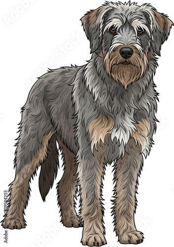 Griffon Nivernais dog standing facing front cute illustration
