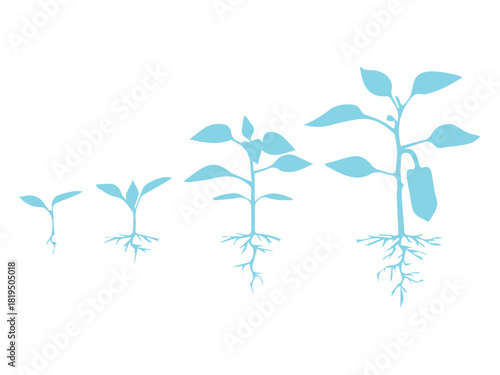 Plant Growth Stages