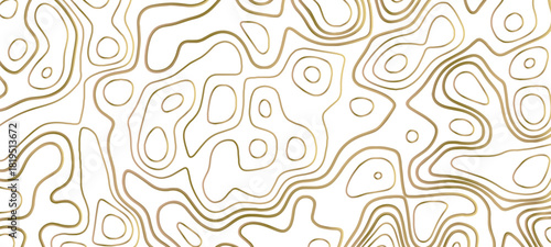 Topographic map pattern background vector. Vector topographic map background. Business concept. Abstract vector illustration. 