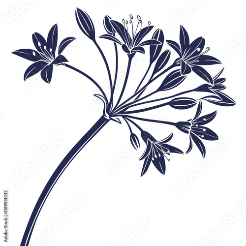allium moly with leaves