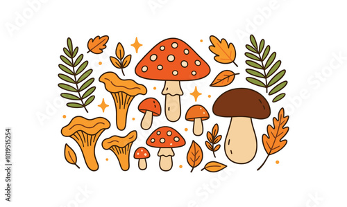 Cozy autumn flat vector illustration collection of cute seasonal icons mushroom mix: chanterelles porcini fly agaric icons fern fronds leaves sparkles arranged horizontal composition