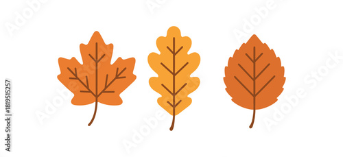 Flat vector illustration fall leaves different shapes (maple oak birch) rounded edges colorful palette autumn theme