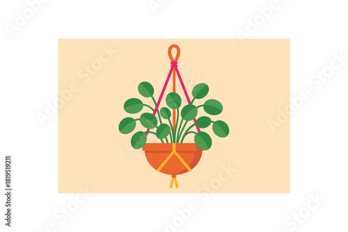 Flat vector illustration of colorful hanging plant pot with vivid rope rounded leaves minimal detail
