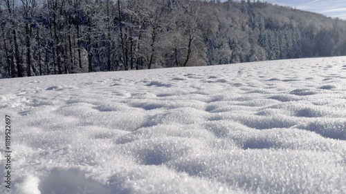 A sparkling wonderland of winter snow blankets the land in a picturesque daytime landscape near the Black Forest
