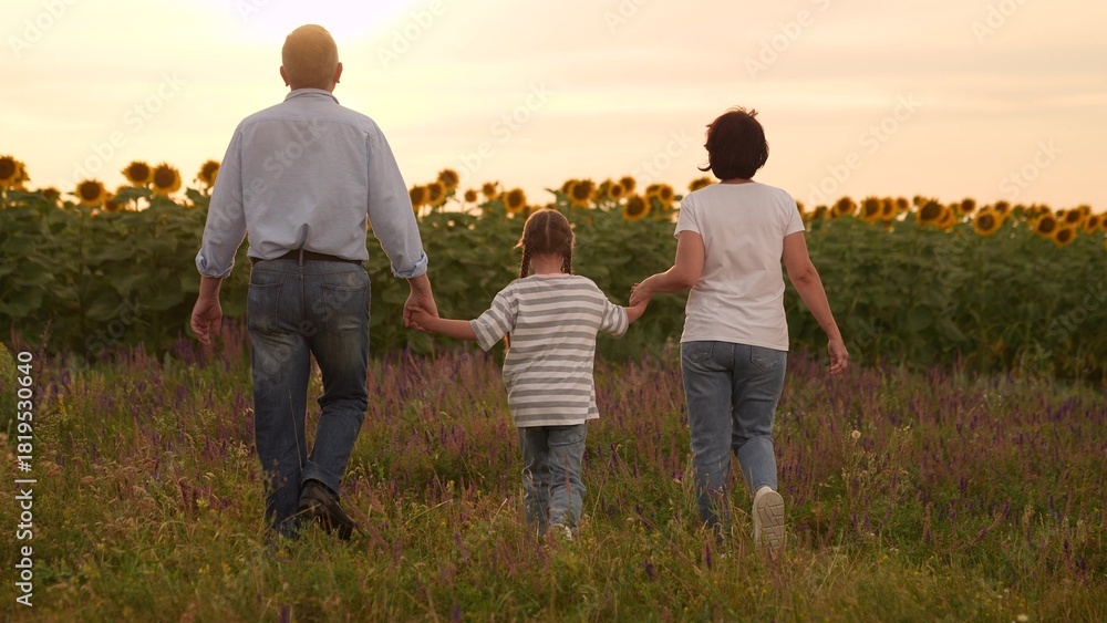 Fototapeta premium Family mother father man woman parent walking through field with child sunflowers at sunset, Happy family time girl child outdoors, Parents holding hands with child, Sunset walk in countryside in