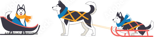 Stylized husky sled dog illustrations with harnesses and sleds, playful winter vector for cold climate transport, racing, and seasonal design themes.