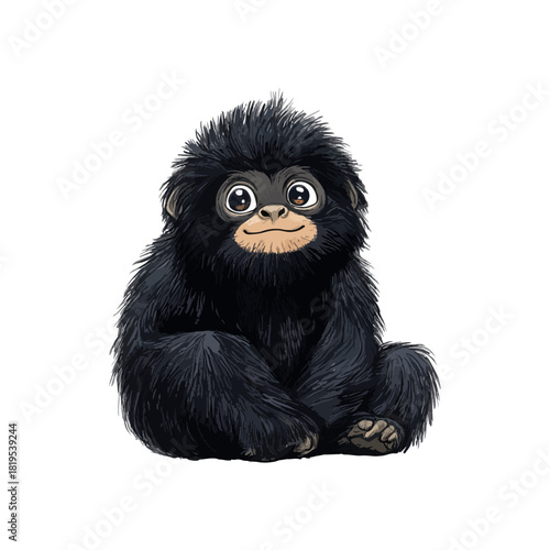 siamang hand drawn illustration