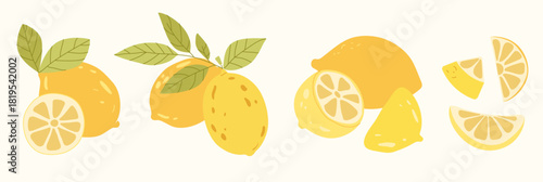 Flat lemon set with slices and leaves