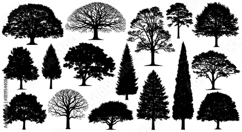 Diverse collection of tree silhouettes representing various species and natural forms