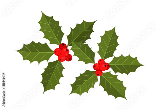 Two clusters of holly leaves with bright red berries, isolated on a white background, creating a festive seasonal decoration.