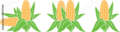 Corn logo. Isolated corn on white background