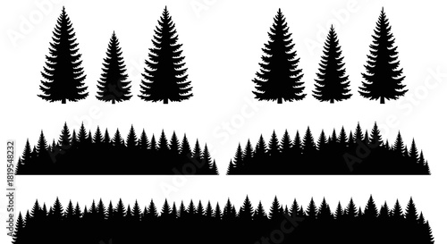 Collection of diverse evergreen tree and forest landscape silhouettes on white background