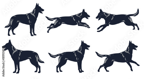 Set of Dog Silhouettes Showing Canine Action Movement and Static Poses