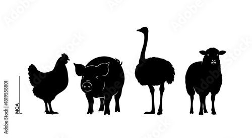 Farm Animals Silhouettes An Illustrative Comparison Of Common Livestock Species
