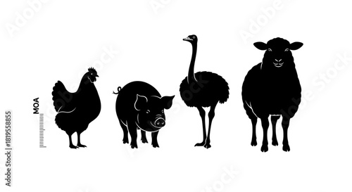 Diverse Farm Animal Silhouettes Including Chicken Pig Ostrich and Sheep