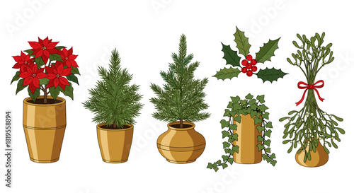 Illustration of various potted plants including poinsettia, evergreen, and mistletoe