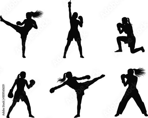 Silhouette of martial arts fighter in dynamic poses, high kick, punch, defense, celebration, combat motion, training, discipline, strength