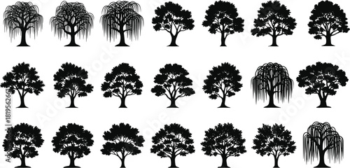 Tree and Weeping Willow Silhouette Collection Black and White Vector Illustration Set for Landscape Design Architecture Plan Drawing Nature Park Elements Graphic