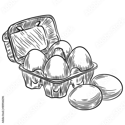 Eggs sketch vector illustration. Vector hand drawn illustration, menu label, banner poster identity, branding. Stylish design with sketch illustration of eggs