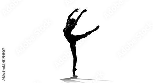 Elegant Ballerina Silhouette Captures the Beauty and Grace of Classical Dance