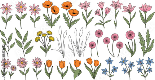Large Colorful Vector Set of Hand-Drawn Wildflowers, Including Lavender, Poppies, Daisies, and Forget-Me-Nots, Ideal for Spring, Summer, Floral Arrangements, or Natural Decoration Elements, 