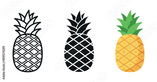 Three pineapple illustrations: outline, silhouette, and colorful design
