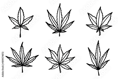 Set of hand drawn cannabis leaf Medicine marijuana Hemp leaves clipart in doodle style Single element for print, web, design, decor