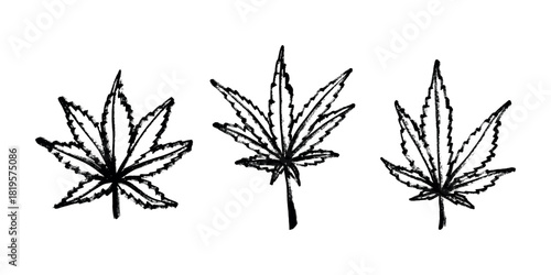 Set of hand drawn cannabis leaf Medicine marijuana Hemp leaves clipart in doodle style Single element for print, web, design, decor