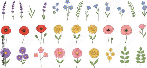 Large Vector Collection of Diverse Wildflowers and Botanical Elements, Featuring Poppies, Lavender, Daisies, and Forget-Me-Nots, Hand-Drawn Floral Set Ideal for Spring, Summer, or Natural Decoration