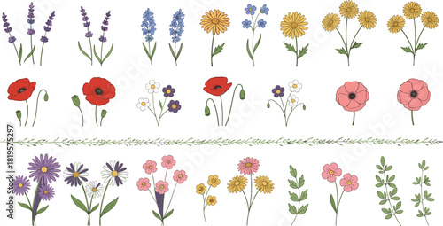 Vector Collection of Hand-Drawn Wildflowers and Herbs, Including Lavender, Poppies, Chamomile, Daisies, and Foliage, Ideal for Spring, Summer, Wedding, or Decorative Designs, Minimalist Doodle Style.