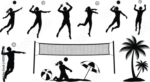 Black silhouettes of volleyball players beach volleyball net palm trees, volleyball, beach volleyball, sport, game, action, silhouette, black, white, isolated, players, men, women, net, ball, palm tre