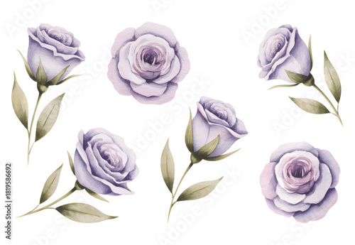 Hand painted lilac rose blossoms soft pastel tones.