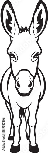 Front view of a curious donkey with large ears looking forward