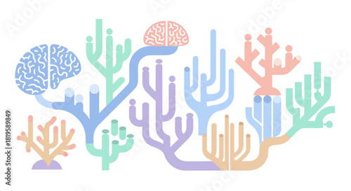 Neural network and brain connections