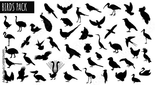 Avian silhouettes pack: A comprehensive collection showcasing the elegant profiles of diverse avian species in graceful flight and rest. 