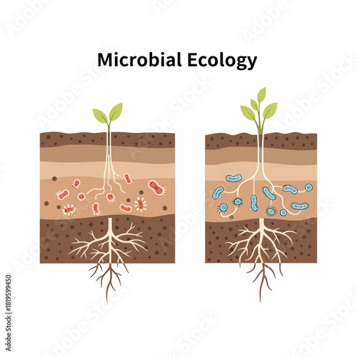 Microbial Ecology and Plant Root Systems in Soil Layers.