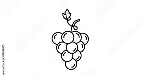 Vector illustration of simple line art drawing of a grape bunch with a leaf