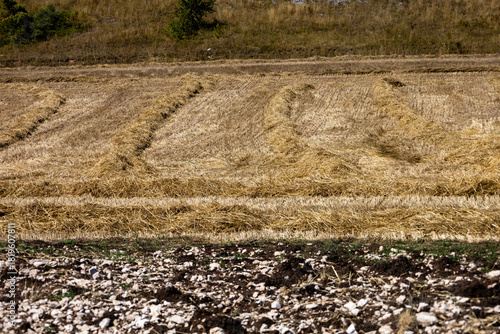 Abstract, linear composition of different soil types and crops, Roccaraso, Abruzzo, Italy