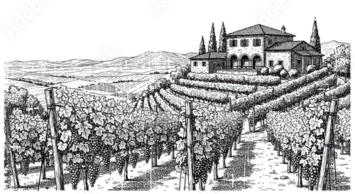Vineyard landscape with vineyards and Italian villa in Tuscany  