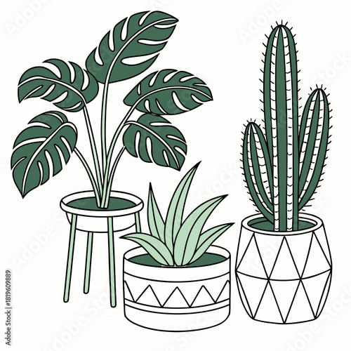 Potted house plants composition. Home and office interior houseplants. Modern green leaf, succulent, cactus decoration in planters, flowerpots. Flat vector illustration isolated on white background